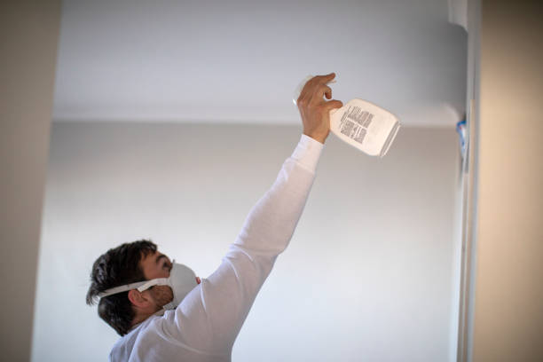 Best Professional Mold Removal  in Annandale, MN